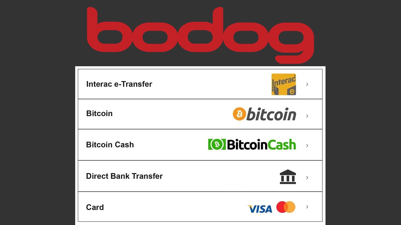 Bodog payment methods