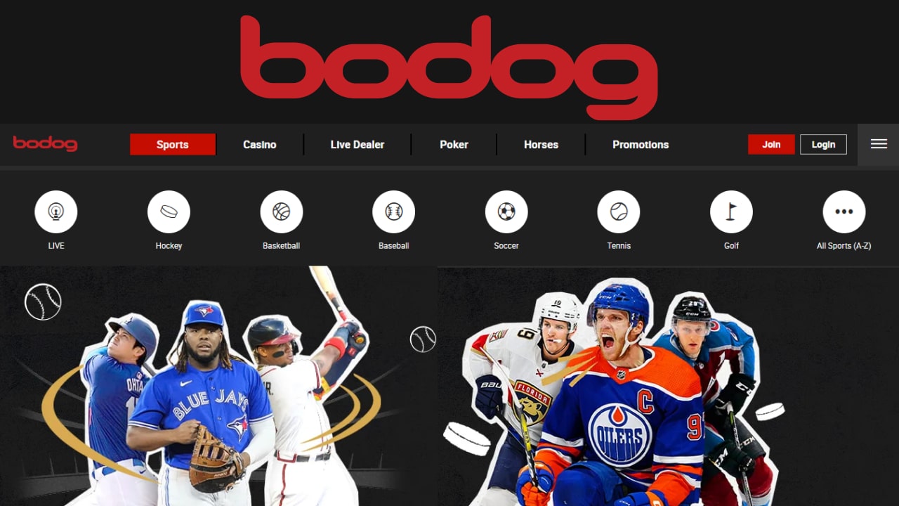 Bodog sports betting